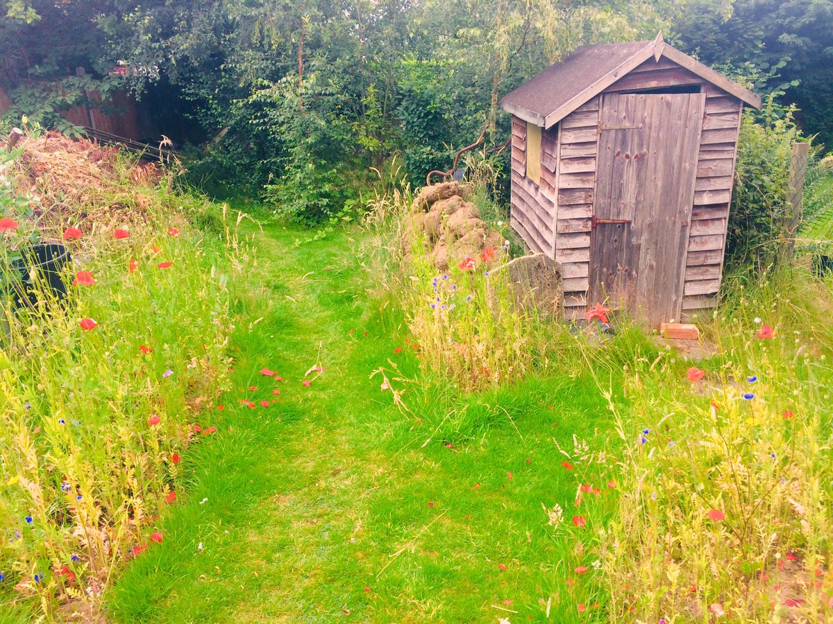 DiseaseMatters's tweet photo. A garden can be designed in many ways - the more ‘manufactured’ country garden esk aspect, the allotment (to feed the humans and those pesky wild animals) and don’t forget your wildlife garden. Why not do all three like us Sweets and @findingnature #bridgingthegap #valueactiongap https://t.co/GT0xM9Qwon