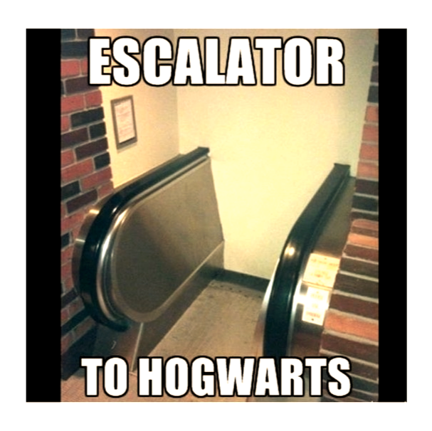 lochavenint's tweet photo. This amuses us 🤦♀️😂🧙♂️⚡
#lochaven #harrypotter #gryffindor #hufflepuff #ravenclaw #slytherin #hogwarts #gryffindorpride #hufflepuffpride #ravenclawpride #slytherinpride #hogwartshouses #sortinghat #wizardingworld #platform9 #platform93/4 #quidditch #hogwartsuniform https://t.co/IALTfyI6fL