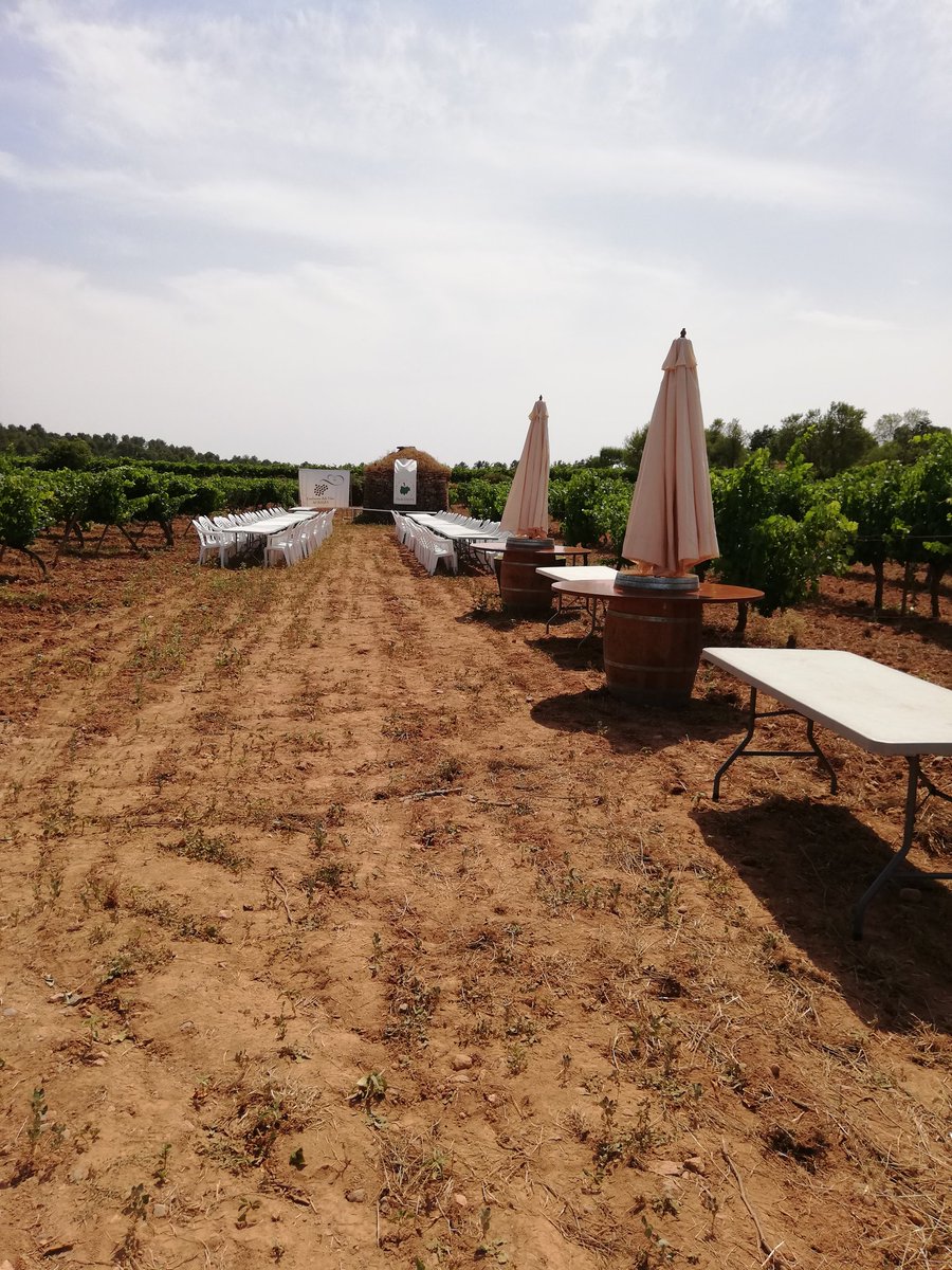 vinssolergibert's tweet photo. #soparalavinyadeMatacans @ConfrariaBages @dopladebages #solergibert #producteskm0 #Artés https://t.co/MzqarsOvM5