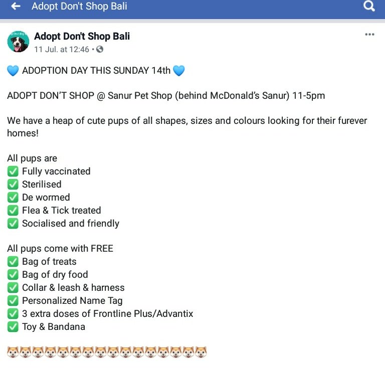 Poppy_MindDogAU's tweet photo. #MengAdopsiAnakAnjingIni = #Adopt a #puppy...
#AdopsiAnjing TOMORROW
#PetShop behind #Maccas in #Sunur 👍
Let the locals know it needs a home 😉
#Act4BaliDogs #DogRescue #Travel
#Bali #AdoptDontShop #Pupies #BaliDogs https://t.co/L5S2bdFaA9