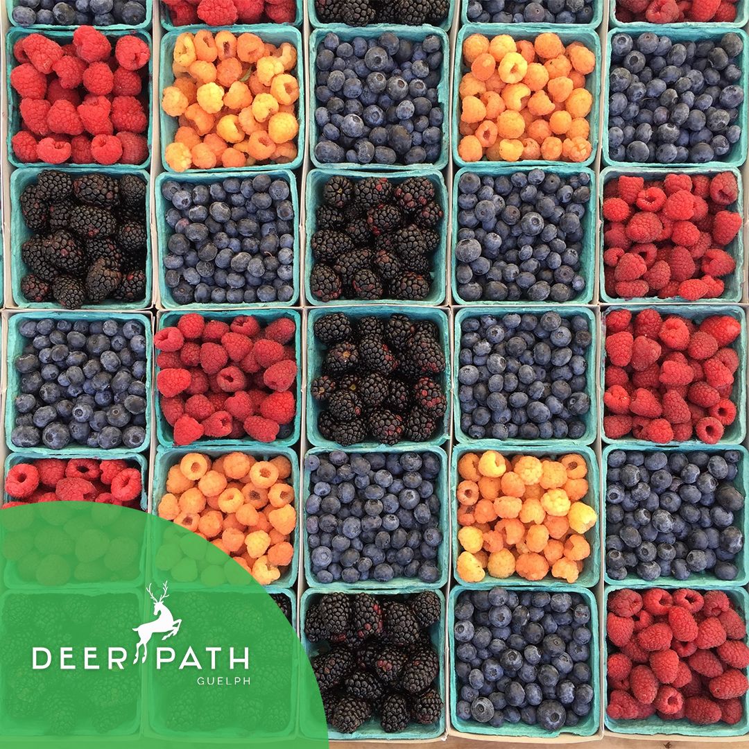 Summer time is the best time to get the freshest selection of delicious foods at the #Guelph Farmers Market! Whether you need healthy ingredients to make dinner, or want a sweet treat from the local bakery, you can find it all! Have you been this season yet? #DeerpathGuelph 🍓🥒