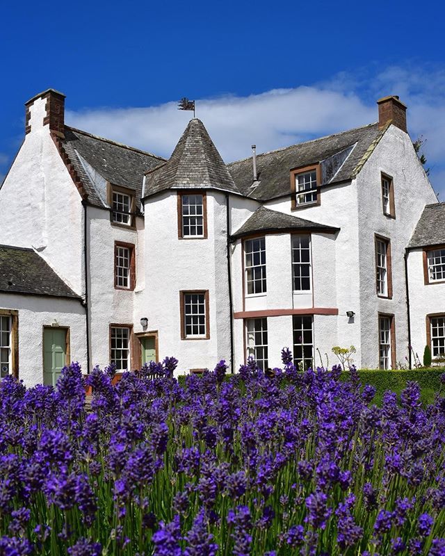 goeastlothian's tweet photo. Lovely! #eastlothian
@hiddenhaddington
Glorious blue skies of lavender at Haddington House ☀️ #hiddenhaddington #haddingtonhouse #haddingtonhistory #bloominghaddington #visithaddington #haddingtongardentrust #17thcentury #1680 #oldestdwelling #stmarysple… https://t.co/OHCs3ARbeP https://t.co/spd6KBkktf