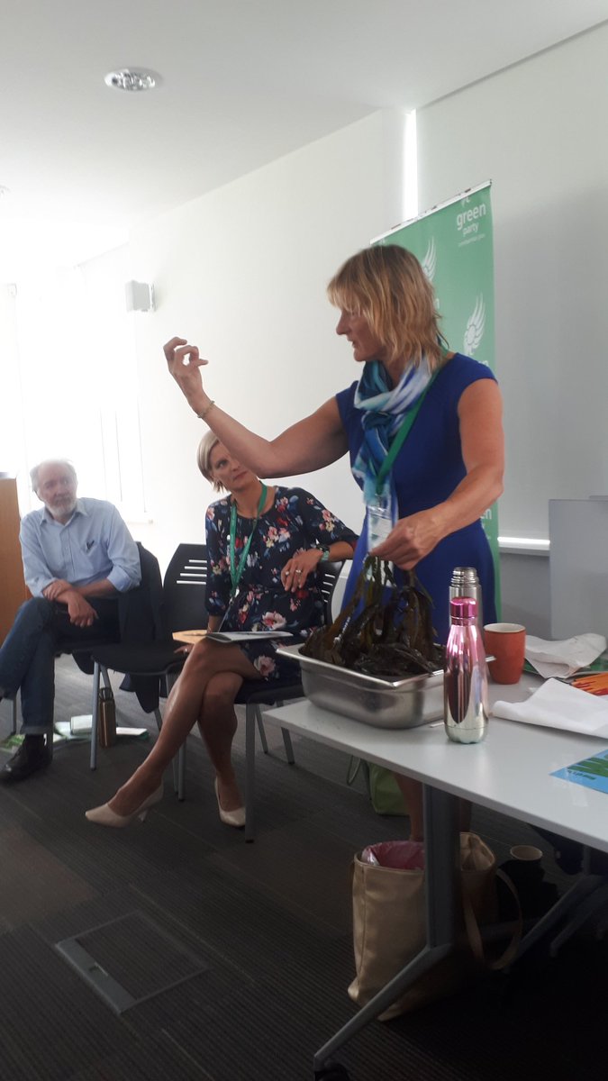 HoraLeslie's tweet photo. What other MEP would get down and wet with seaweed!! #politicsofhope #wantgreenvotegreen #graceosullivan #sligoleitrimgreens #keepitintheground #climatechange #grettathunberg #Leitrim #sligoleitrimgreens #sligo https://t.co/oOlmjG4i9Y