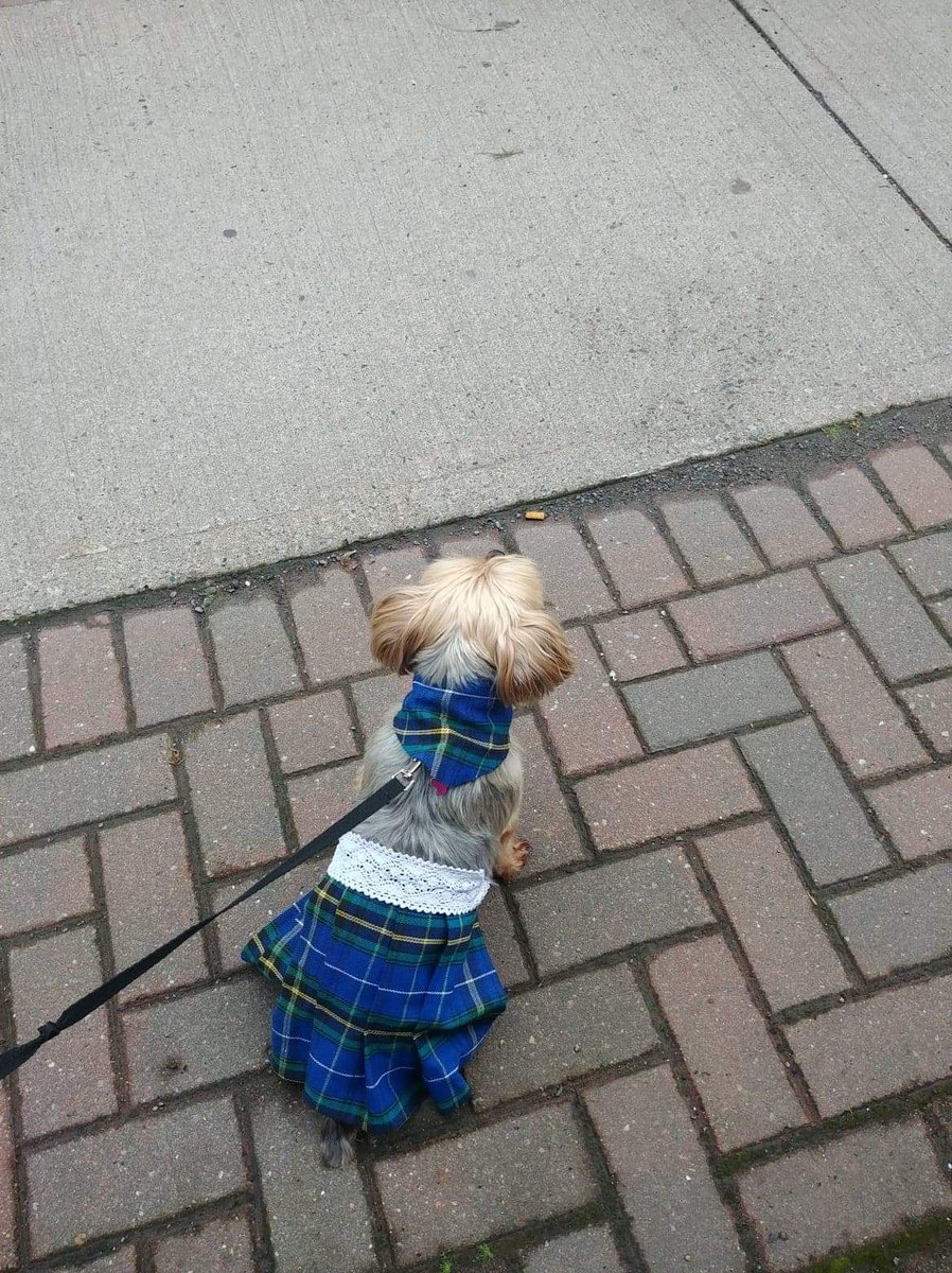 #ayorkienamedsophie at the #Antigonishhighlandgames parade