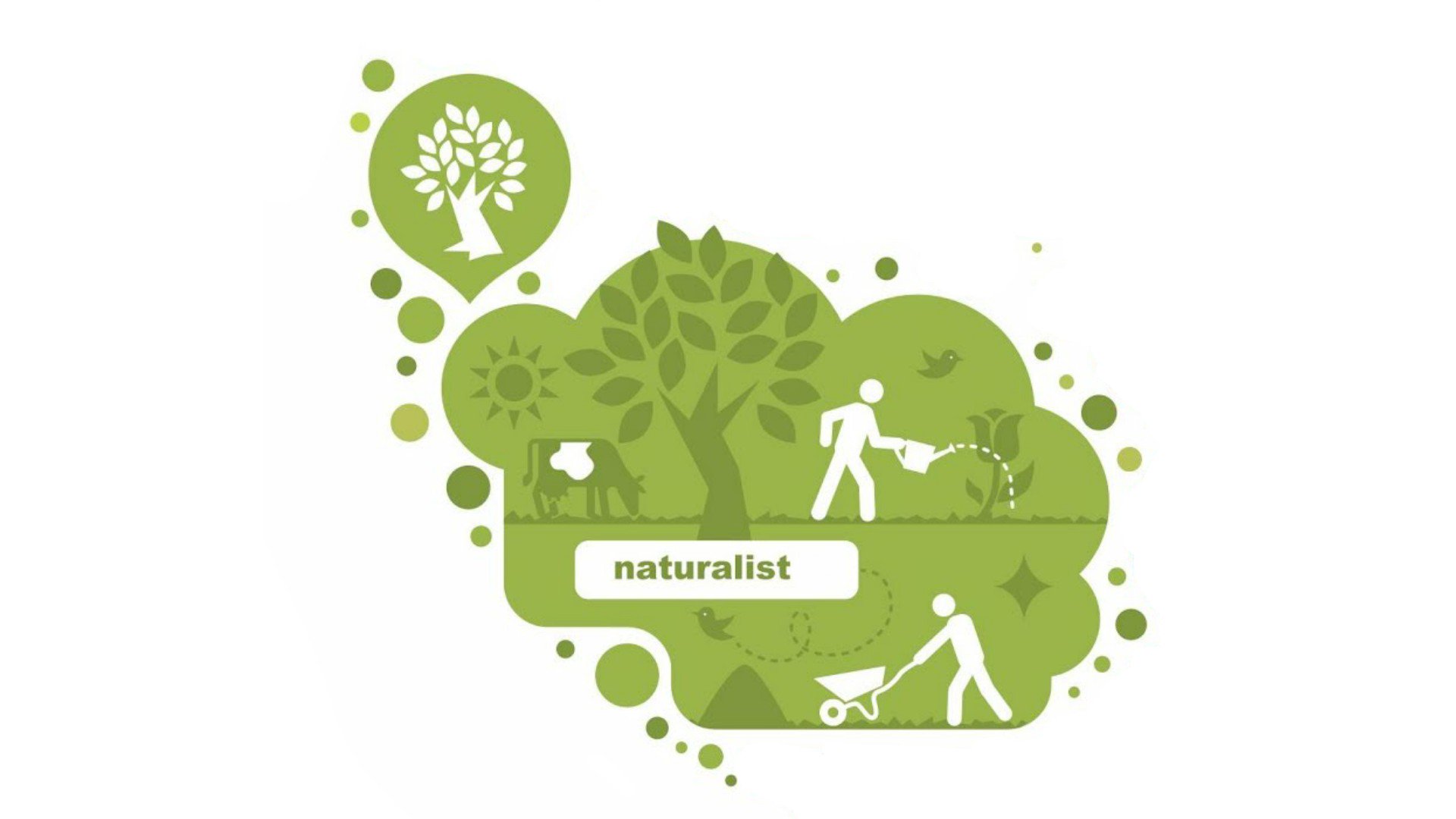 naturalist-intelligence