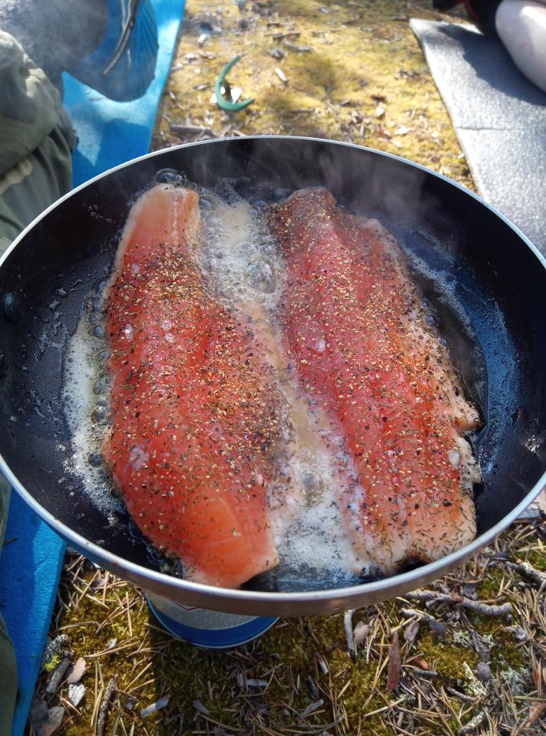 PaaTur's tweet image. @PaaTur #middag #ørret #cousecous #sitronpepper #dill