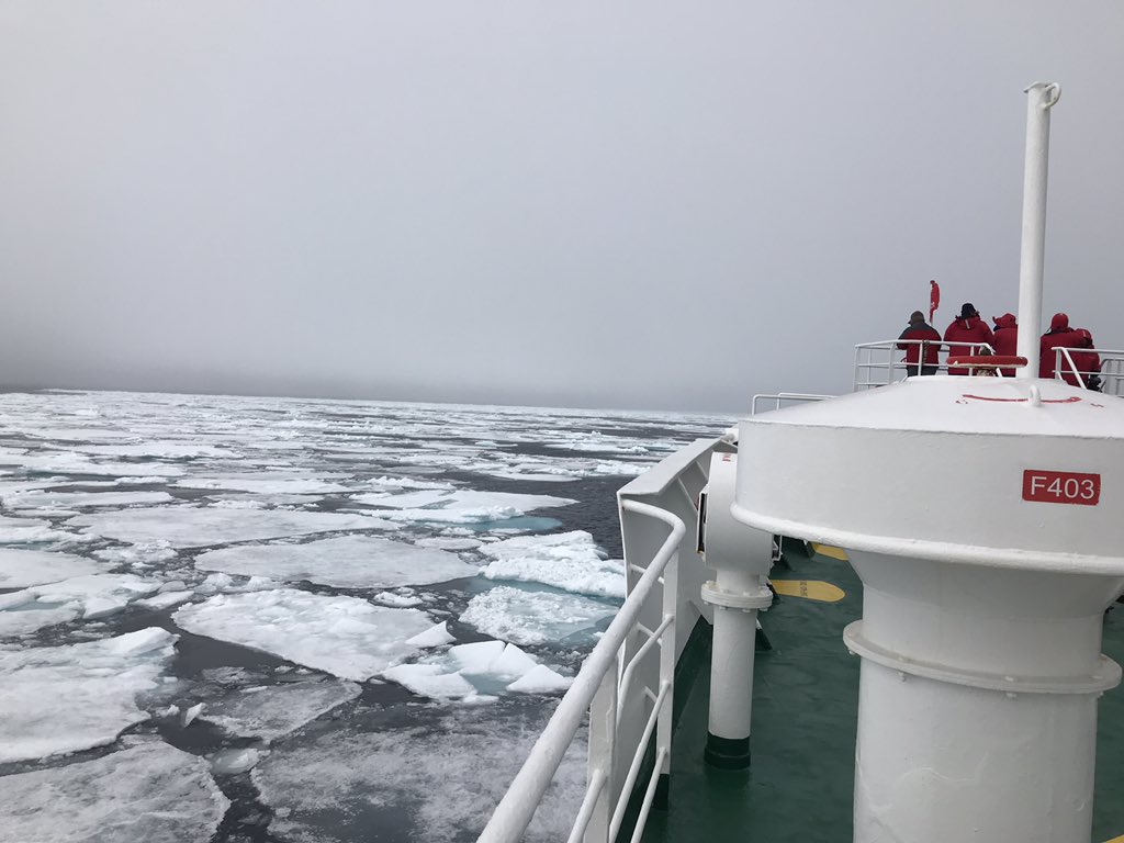 MyTravelMeetup's tweet photo. On this day last year, we took these photos! #polarbear #arctic #northpole #svalbard #travel #adventure #gadventures #msexpedition #spitsbergen https://t.co/IfW9QibYpb