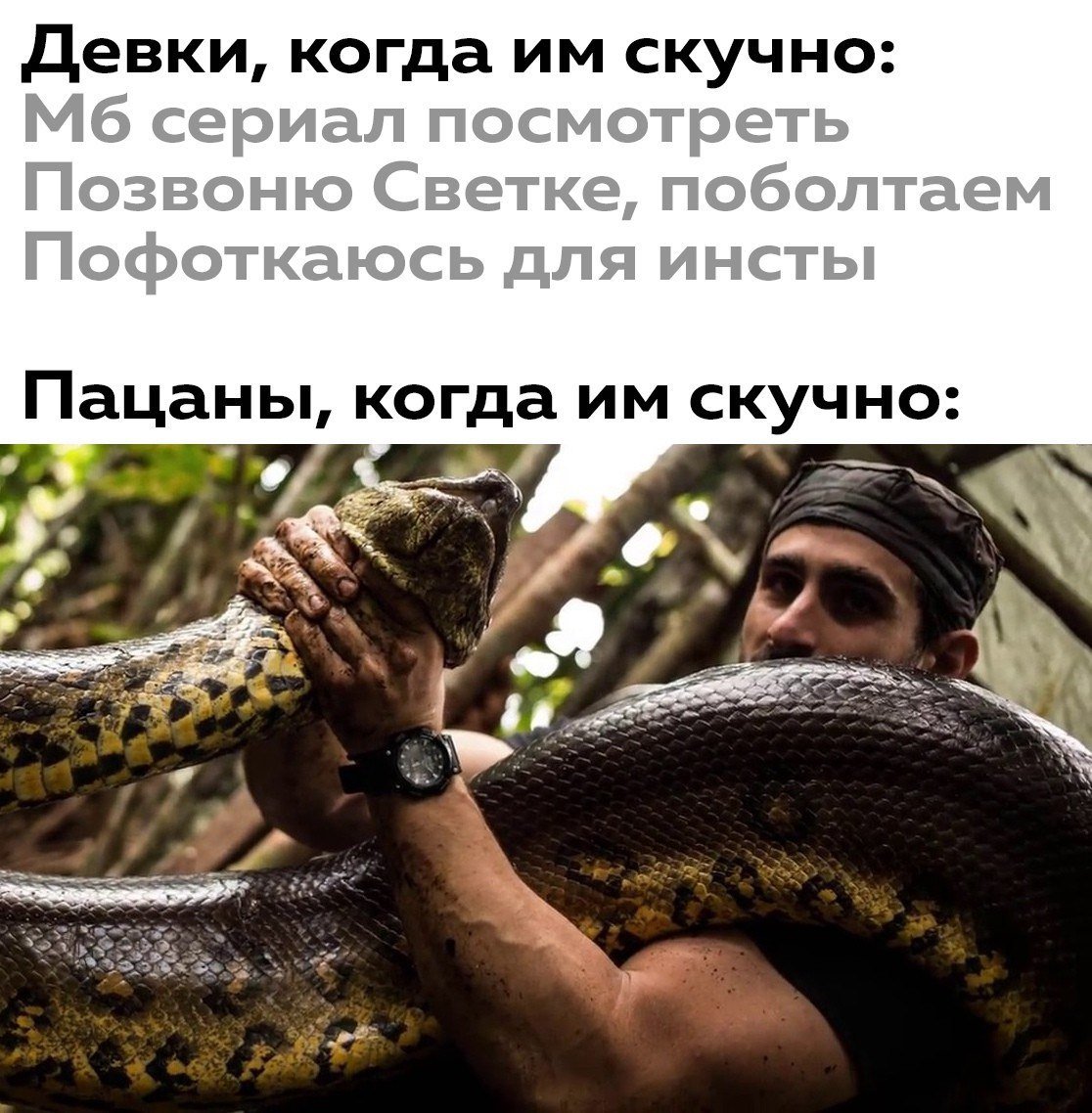 D_Y5_juXoAA7kTV?format=jpg&name=medium