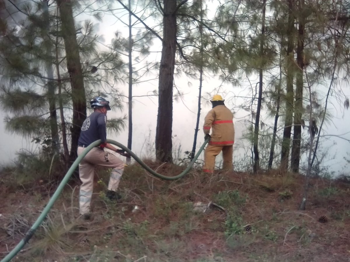 PCGobPue's tweet photo. @PC_Estatal junto con la #GuardiaNacional, P.C. de Vicente Guerrero, Nicolás Bravo, Policía Mpal. y Bomberos de Tehuacán atendieron volcadura e incendio de pipa del corporativo #GasOriente en el tramo de la carretera estatal Azumbilla - Tlacotepec de Díaz. https://t.co/97CEOkwBUm