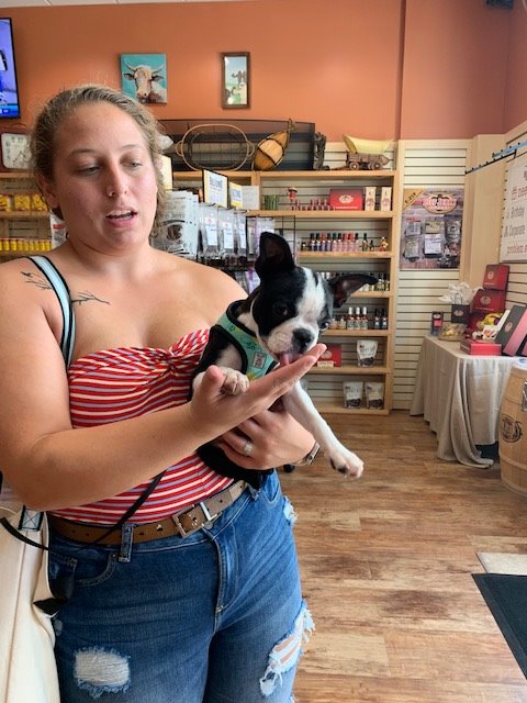 WPalmBeachBJO's tweet photo. Dogs love our store too https://t.co/mMVOVjy6mU