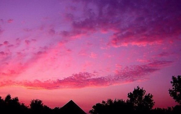 ramblingsloa's tweet photo. The way is not in the sky.
The way is in the heart.

Buddha https://t.co/q1tRnpc2WM