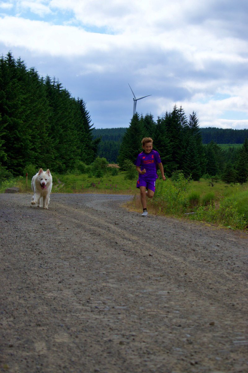 najohnson1986's tweet image. He doesn’t stop 😅 Hill sprints and racing with the dog #crazykid #alwayspracticing