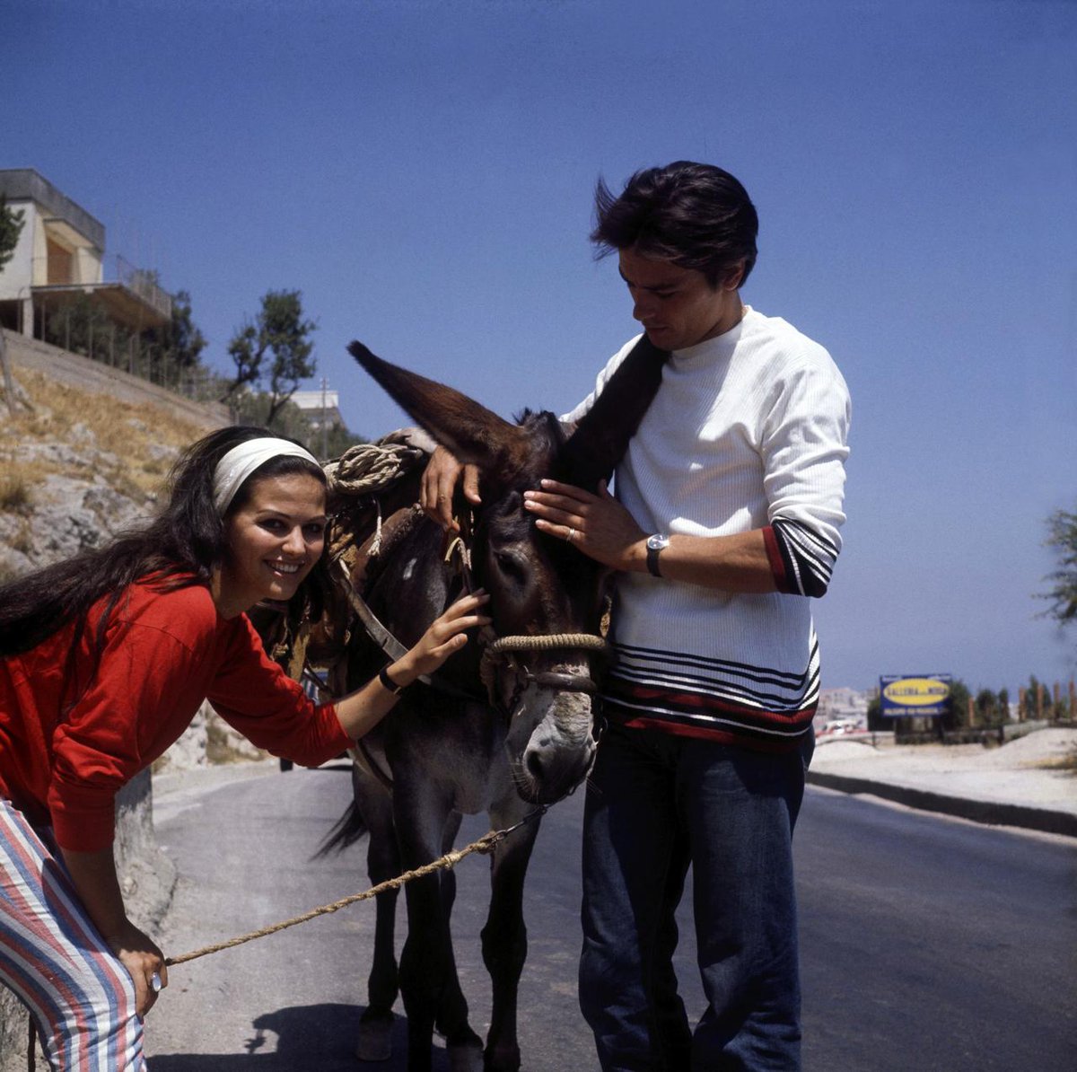 Alain Delon &amp; Claudia Cardinale. Le Guépard (1963)