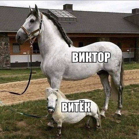 Блог Seoшника (@seopolus) on Twitter photo 