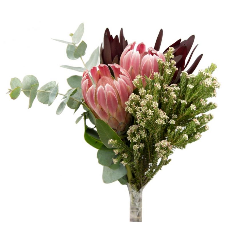 Jr Roses Wholesale Flowers Jrroses Com Twitter