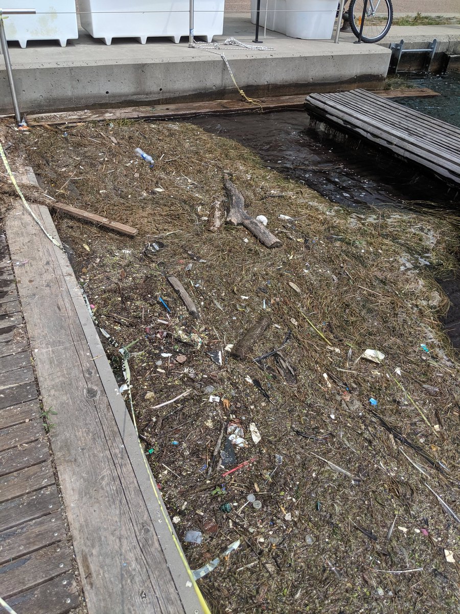 UofTTrashTeam's tweet photo. Off for a stroll with @ROMtoronto along the #Toronto waterfront. Beautiful... except for some unwanted #litter. What do you spy in this mess? #ROMwalks https://t.co/oo1hvvgfs6