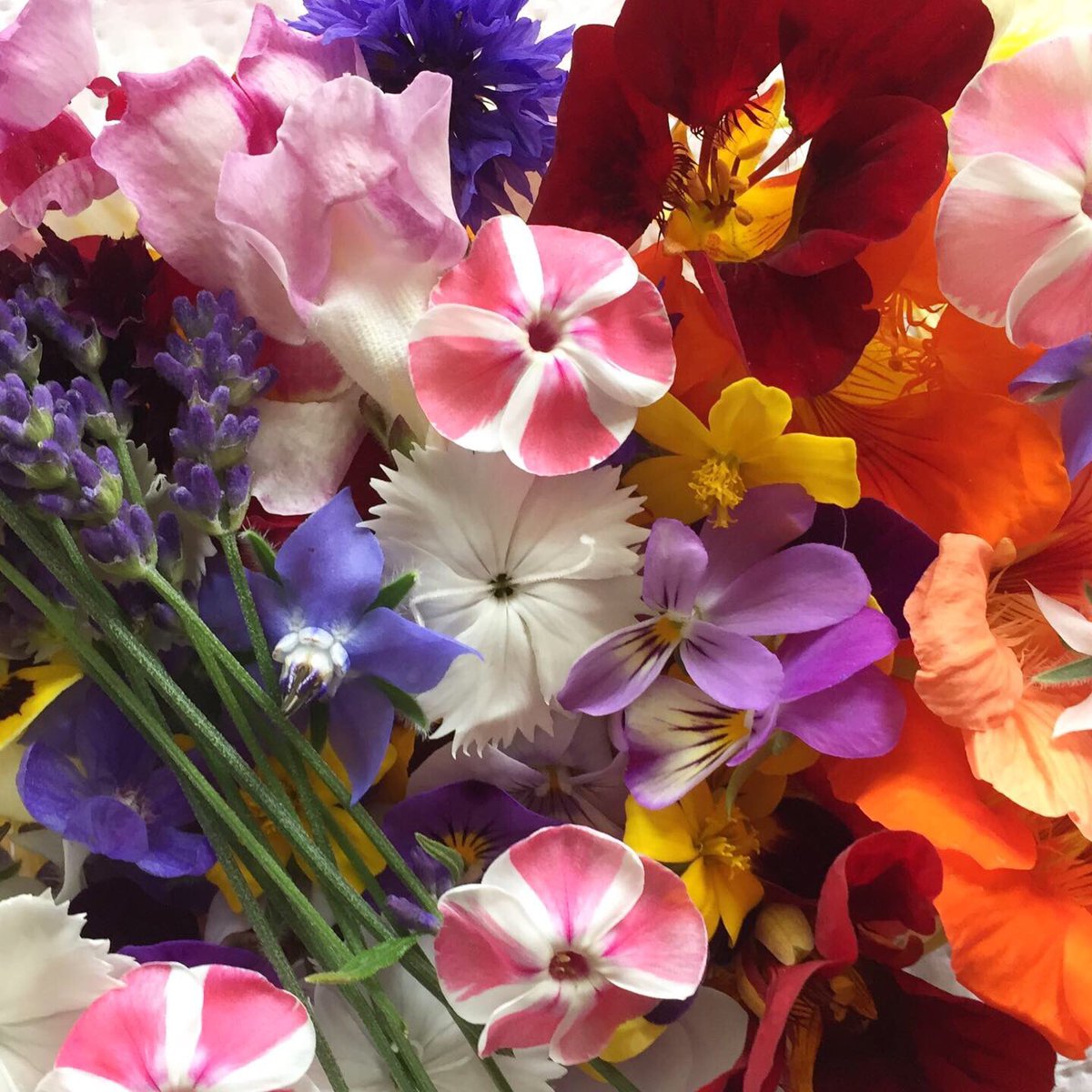 GrowCreateJoy's tweet photo. 🍹🌸FLORAL DRINKS 🍹🌸 -

Here are the types of lovely edible flowers going out in my cocktail and mocktail mixes at the moment.. A punnet of these beauties is only £10. Hop over the shop to grab some for next weekend’s summer fun 
😎🍹🌸🍸🌼🥤🌺🥂☀️ 

https://t.co/kEgr5C6Zib https://t.co/0aXnOYjUd2