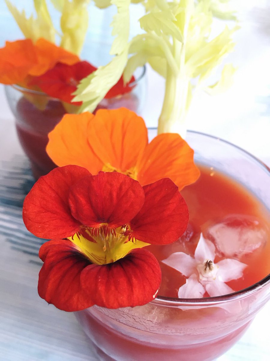 GrowCreateJoy's tweet photo. 🍹🌸FLORAL DRINKS 🍹🌸 -

Here are the types of lovely edible flowers going out in my cocktail and mocktail mixes at the moment.. A punnet of these beauties is only £10. Hop over the shop to grab some for next weekend’s summer fun 
😎🍹🌸🍸🌼🥤🌺🥂☀️ 

https://t.co/kEgr5C6Zib https://t.co/0aXnOYjUd2