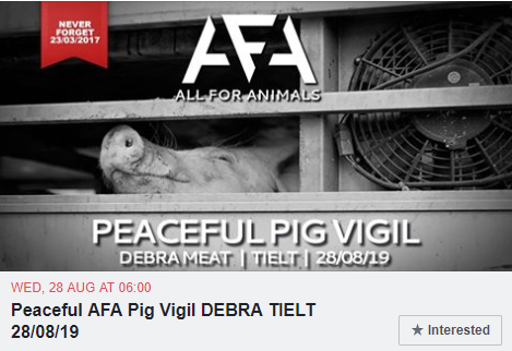 VIGIL AT TIELT SLAUGHTERHOUSE / In collaboration with the Save Movement Belgium and All For Animals, the first #vigil will be held on August 28th at the Tielt slaughterhouse, where we took #undercover images that shocked the world #animalsarefriendsnotfood facebook.com/international.…