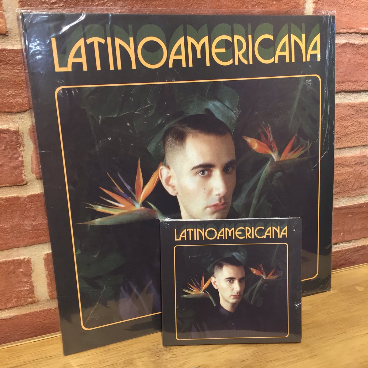 Regresan copias del último álbum de <a href="/alexanwandter/">Alex Anwandter</a> 👏👏👀 
Puedes venir por la tuya a <a href="/Disqchilena/">Disqueria Chilena</a> en Providencia # 1478👍 
Disponible en CD y vinilo👌