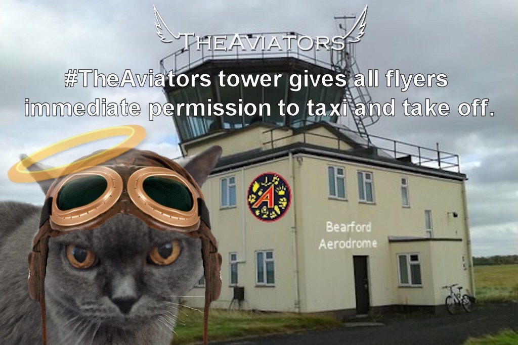#TheAviators TWR clears all flyers for take-off. Let’s hear your call signs and see wheels up for the tribute