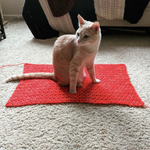 Photo by KnitCrate (@KnitCrate)