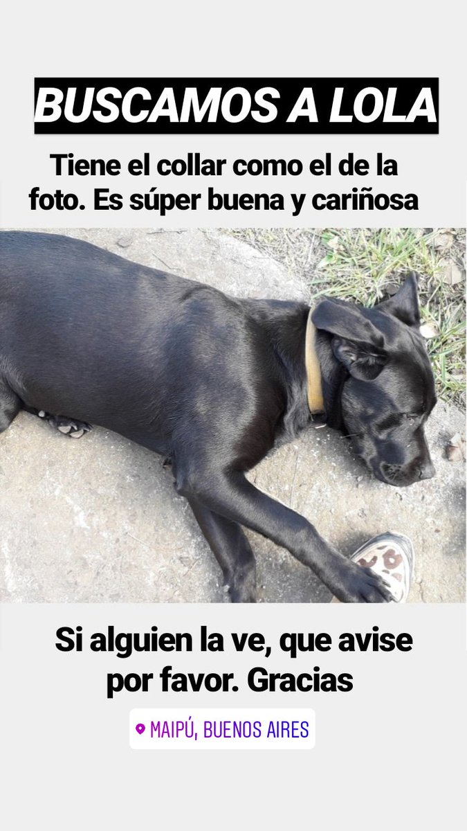 stefi_cabrera's tweet photo. Por favor!! 🙏 Me ayudan a difundir? https://t.co/MSbTkRyriH