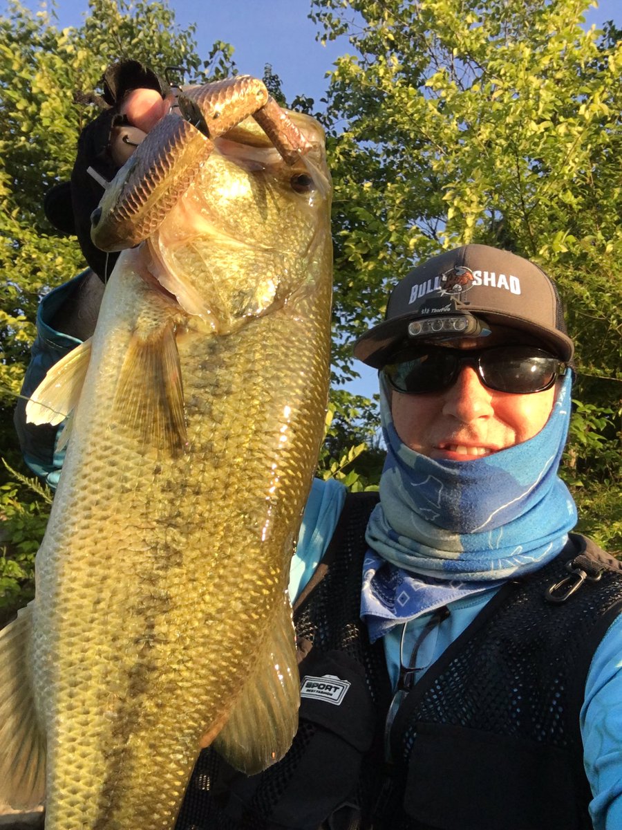lapbass tweet picture