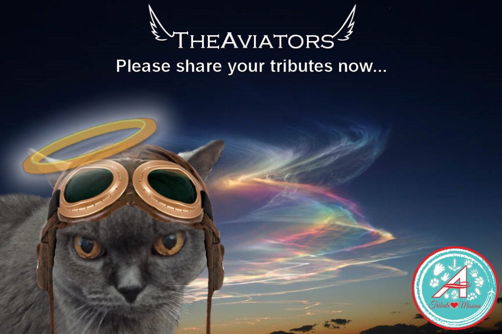 Will #TheAviators flyers and guests now please share their tributes to furends  OTRB