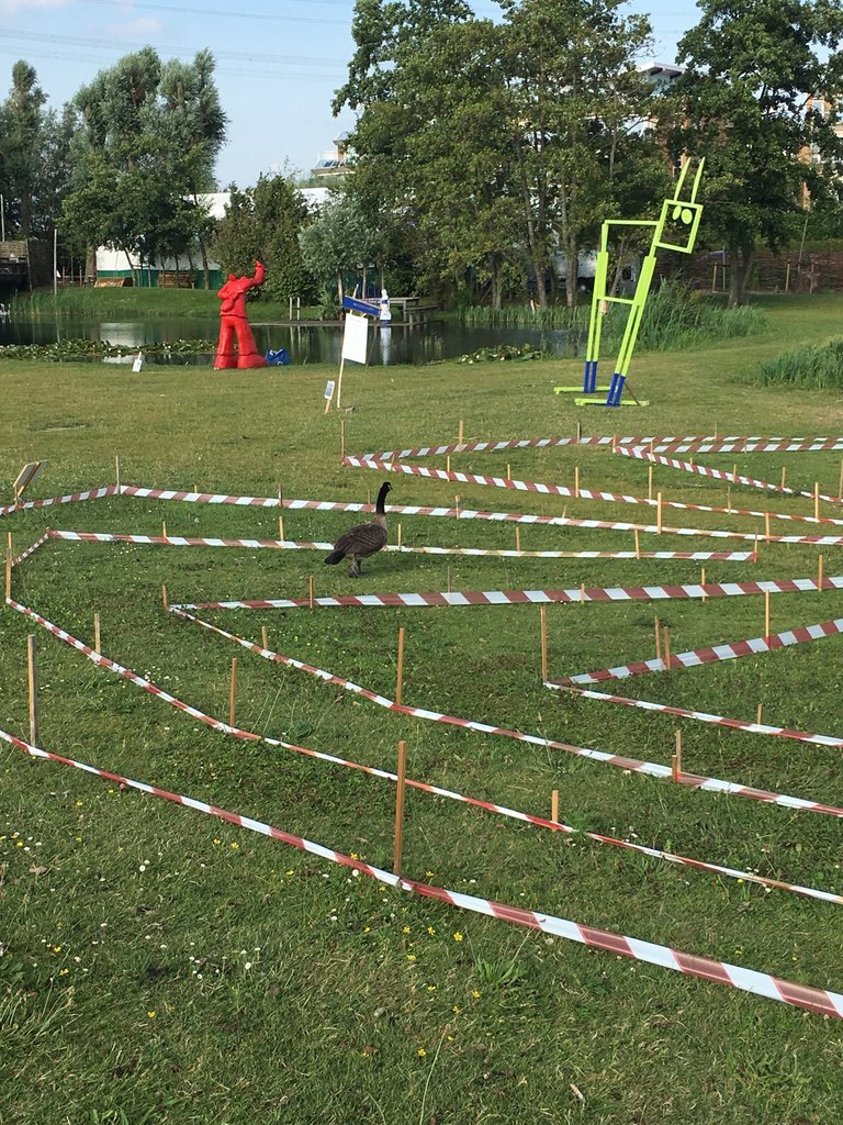 BramRozaFes's tweet photo. Slimme gans: niet alleen mensen vinden het leuk om het labyrinth van Ton Erwich te lopen. #bramroza #bramrozafestival #nieuwbeijerland #hoekschewaard #gans https://t.co/88SllZ1Cyu