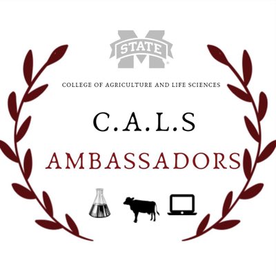 MSU CALS Ambassadors tweet media