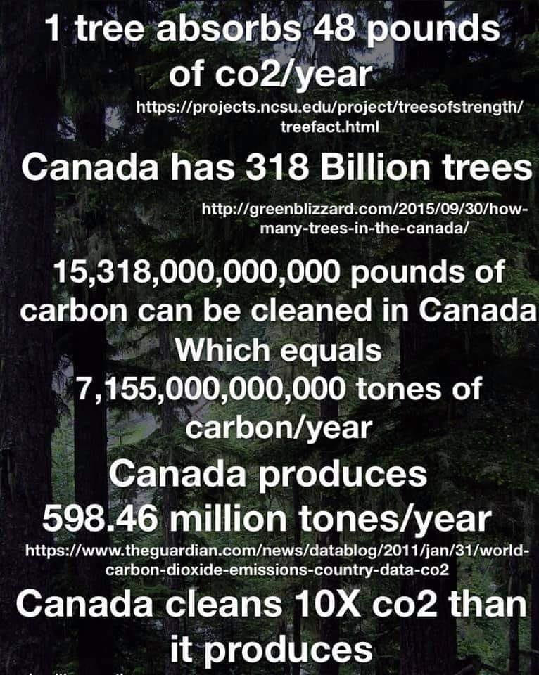 This needs to go viral