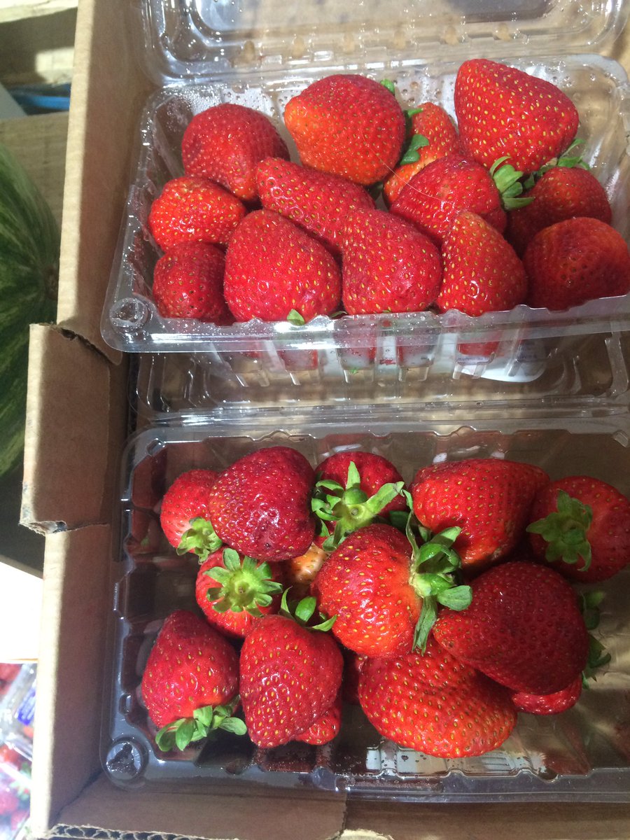 ThiesFarm's tweet photo. California strawberries 2 pounds for $1 while supplies last! Hanley Farm https://t.co/gx45ECSLqZ