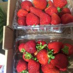 Photo by Thies Farm (@ThiesFarm)