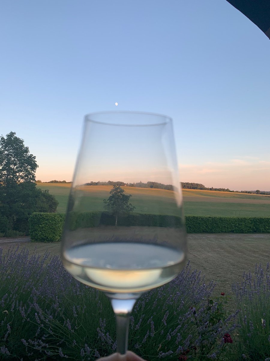 Rosi_tuathglass's tweet photo. So for our 1st night in the #charante #saturdaynightsip has to be a French white- very productive day gardening.... https://t.co/EA417VS55a