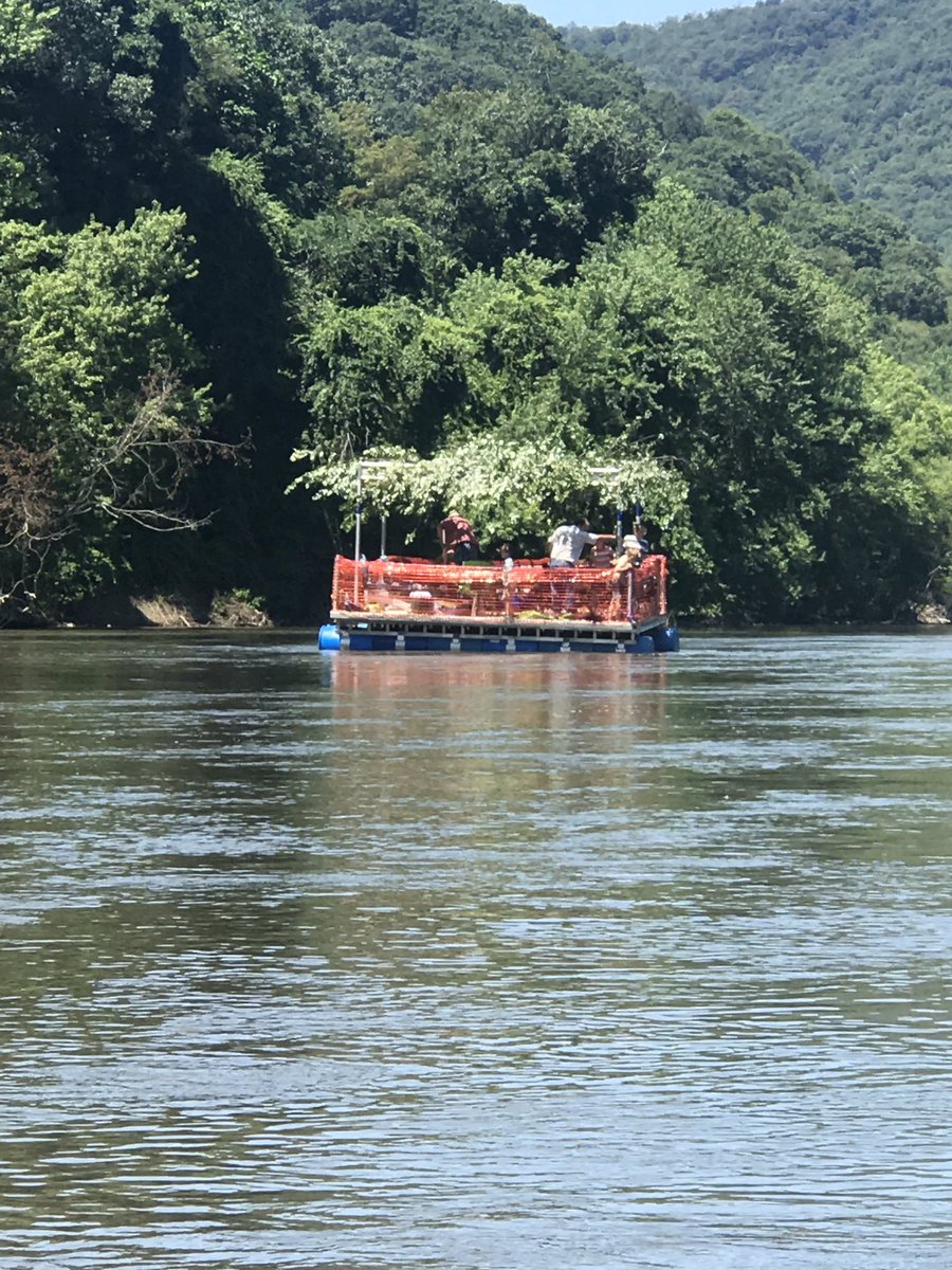 AshleyStremme's tweet photo. A little “floatin’ and drinkin’ on the weekend” 🚣‍♀️ 🍹 
#smalltownusa #PAmountains https://t.co/41FBHjJcpK