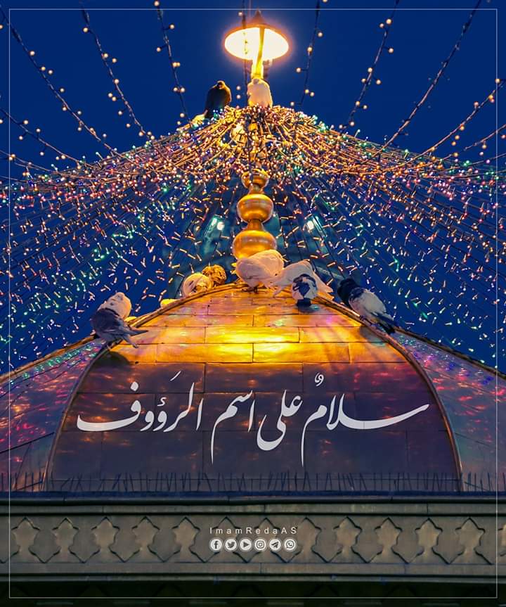 سلامٌ على حكايات عطفك التي يحكيها الرضويون، على كل حديث ختامه اسم الرضا، أو مبتدأه اسم الرضا. ✨
سلامٌ على كل باحة في مملكة طوس، تملأها صلوات العاشقين. ✨
سلامٌ على كل زاوية في حرمك المقدس، تزينها دموع الوالهين. ✨
سلامٌ على تنهيدة المشتاقين إليك، المحتاجين لعطفك. ✨