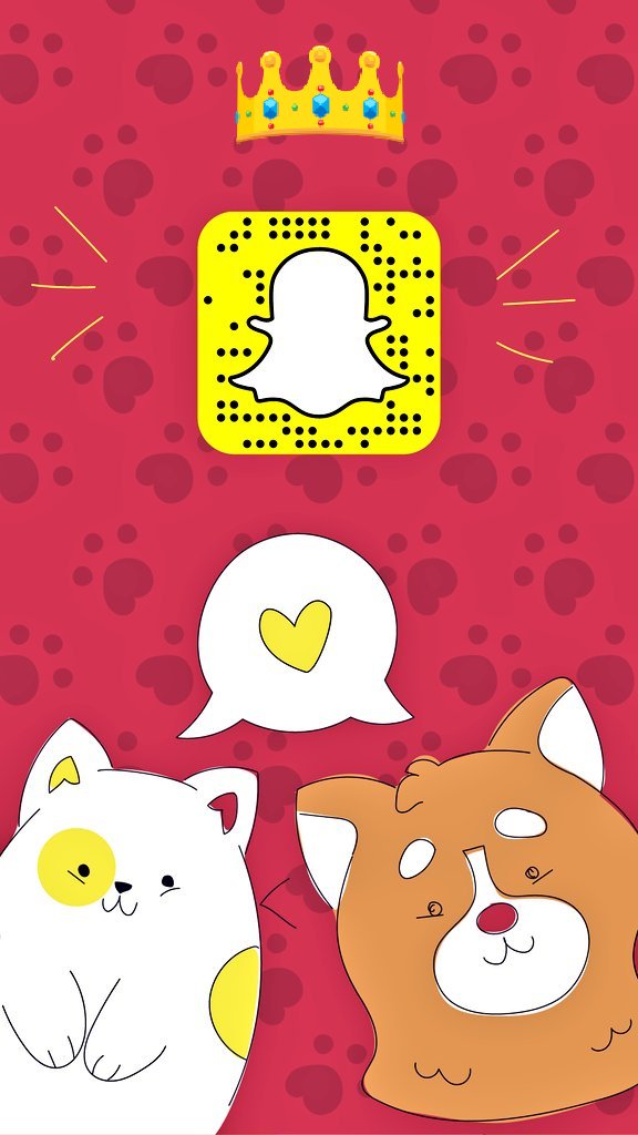 متجر أرض الببغاء Parrotlandstore Twitter