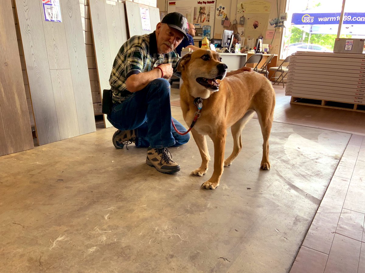 Warm1069's tweet photo. Are you ready to meet your new best friend? #warm1069 has partnered with @DogGoneSeattle and @carpliquidators again to host a pet adoption event today until 3pm. More dogs on the way!
#doggoneseattle #carpetliquidators #seattledogs #seattlepets https://t.co/KcoD4rntKR