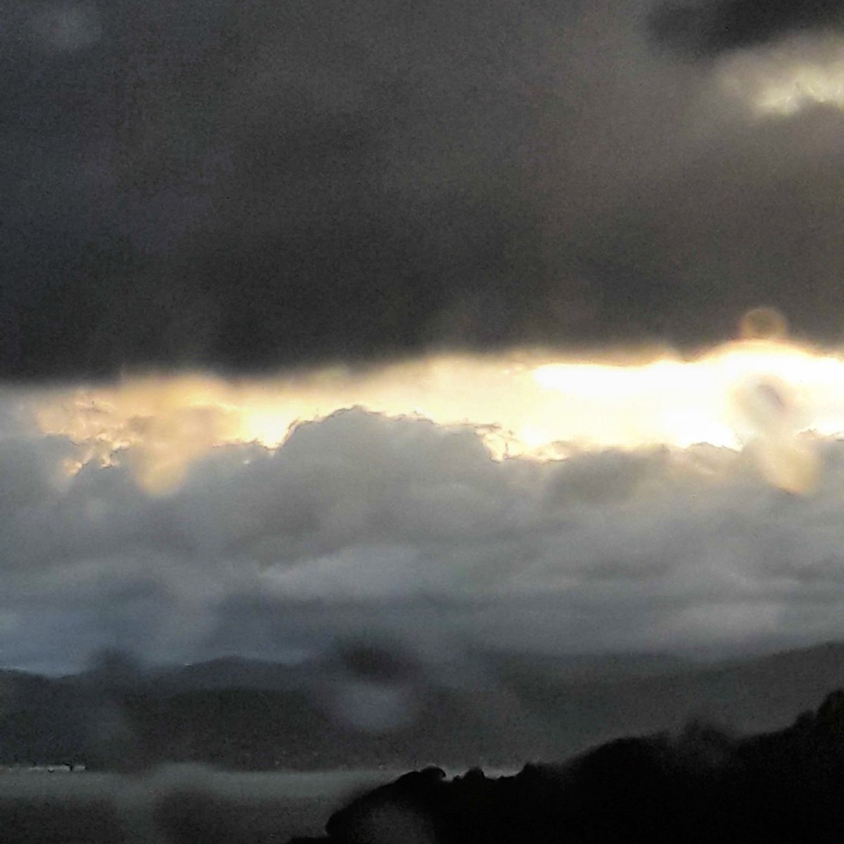 whiskyonkittens's tweet photo. Sunday morning rain and thunder storm https://t.co/EXrW6J2fO5