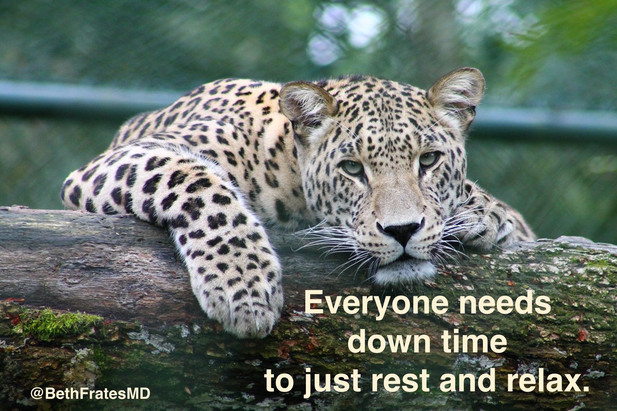 BethFratesMD's tweet photo. Saturday is a great time for down time.  Everyone needs to unplug and rewind, even the most driven and hardest working people need to take a break every once in a while.

#SaturdayMotivation #SaturdayThoughts #Health #wellness #lifestyle #caturday #mindset #MindBody #InnerPeace https://t.co/89mIad3fFP