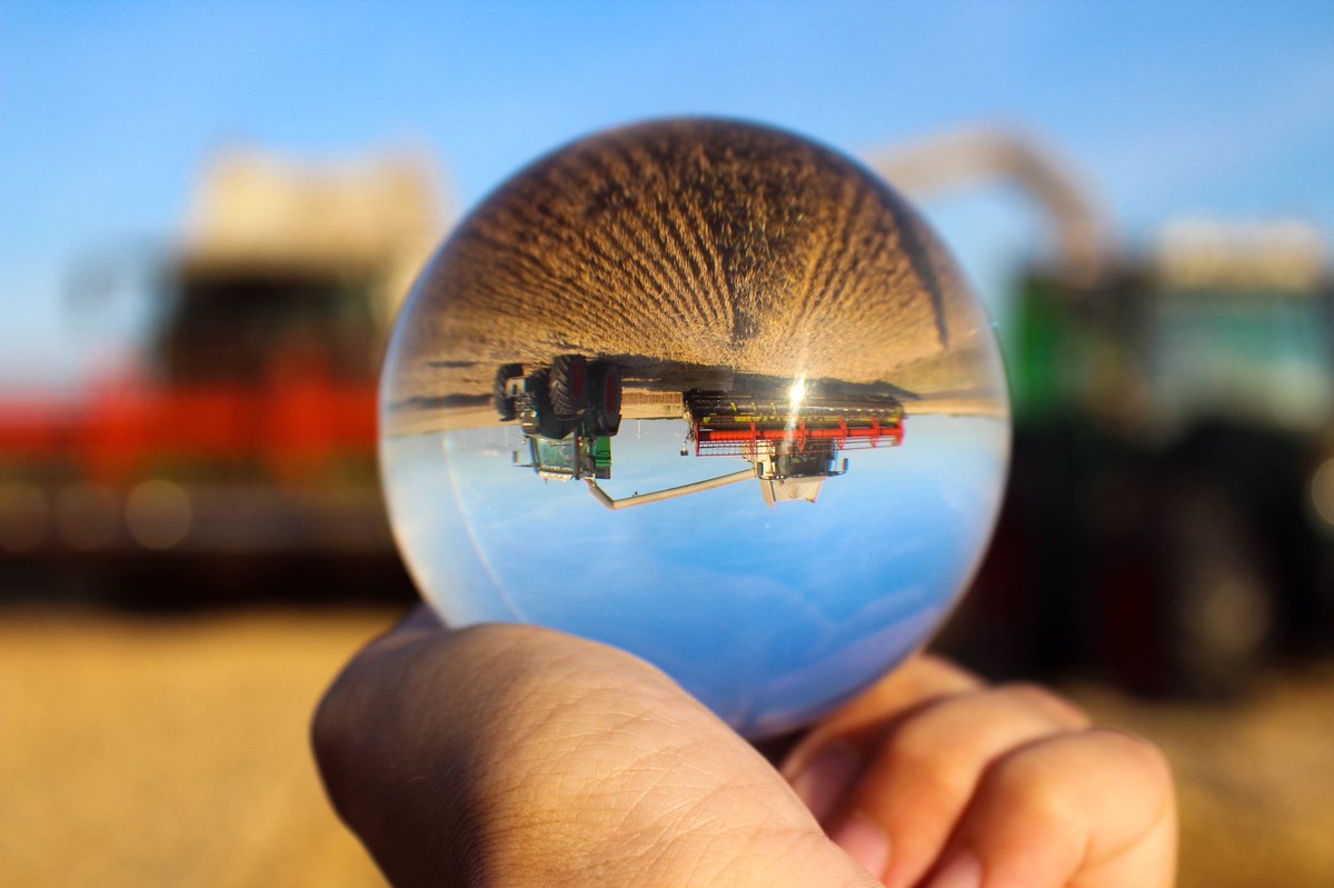 Morgane Carboni tweet media