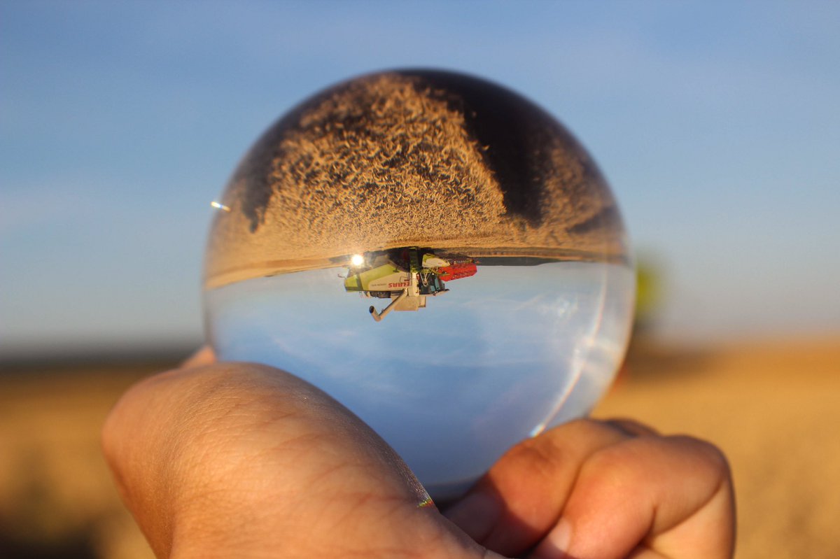 Morgane Carboni tweet media