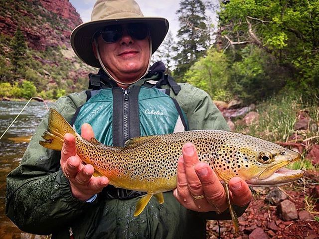 TrueFlySupply's tweet photo. Amazing brown from @akdreemin and friends out of utah, get out side and fish this weekend and tag us with #trueflysupply in your pics!
.
.
.
.
.
.
.
.
.
.
.
.
#flyfishing 
#Fishing 
#trout 
#troutsflyfishing 
#browntrout 
#utah
#utahfishing 
#getoutdoors… https://t.co/YgNLYfLhVK https://t.co/Zy6rpLu6bS