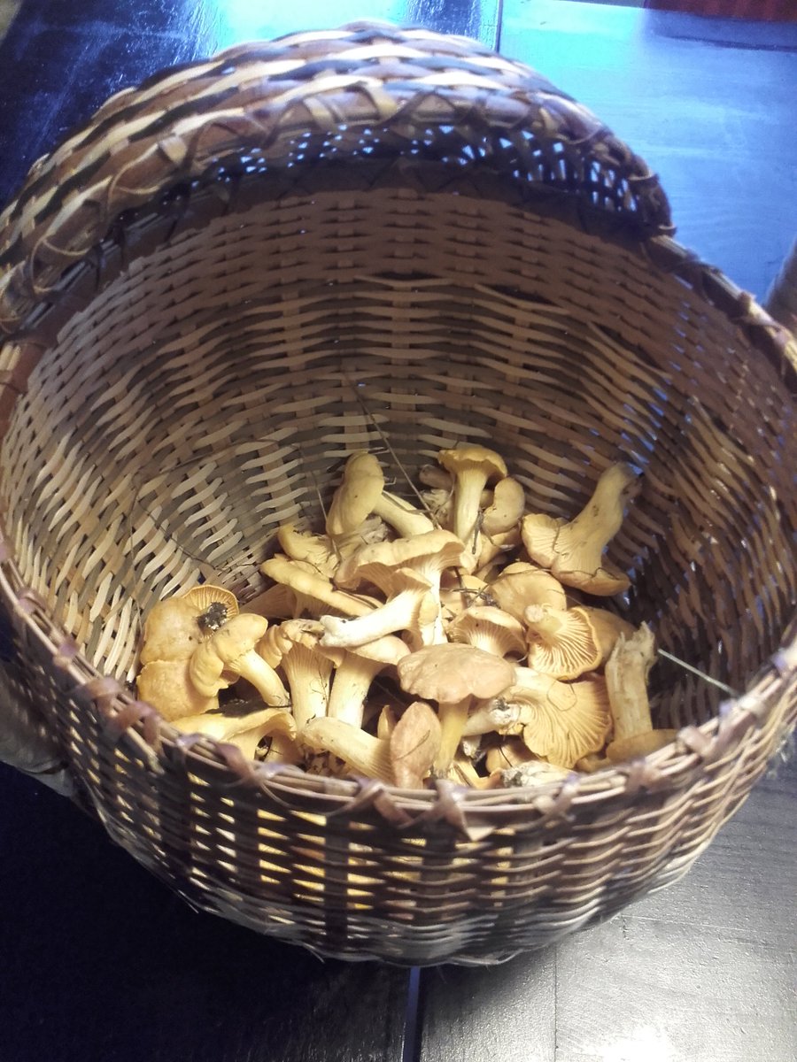 #ISHPSSB19 is done and life is back to normal, only richer 😊