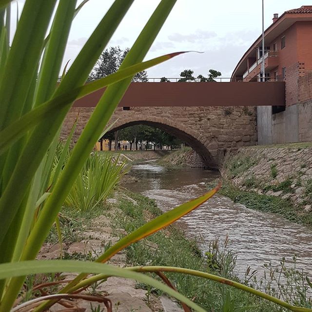 pix0rize's tweet photo. El #riusio al seu pas per #agramunt #pontromanic #agrawalk19 https://t.co/IzEQuFjYv8 https://t.co/VES1QT4EBx
