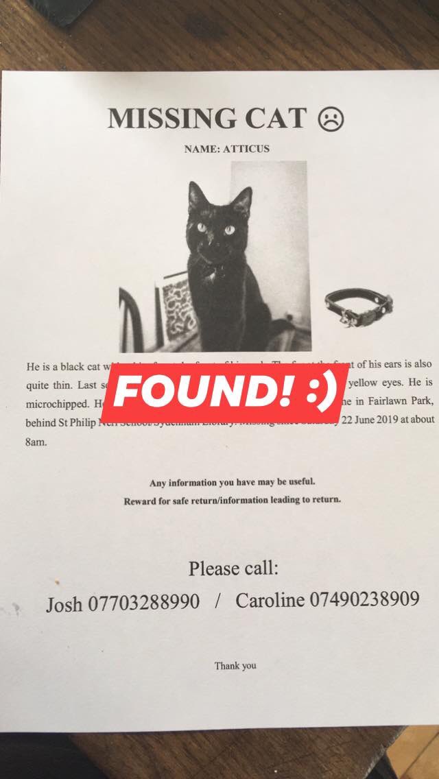 NormaSE26's tweet photo. ##### HAPPY UPDATE- ATTICUS HAS BEEN FOUND.
Thank you everyone for all the messages, support and sightings x #sydenham #lewisham #penge #lostcats https://t.co/prb31sZDrK