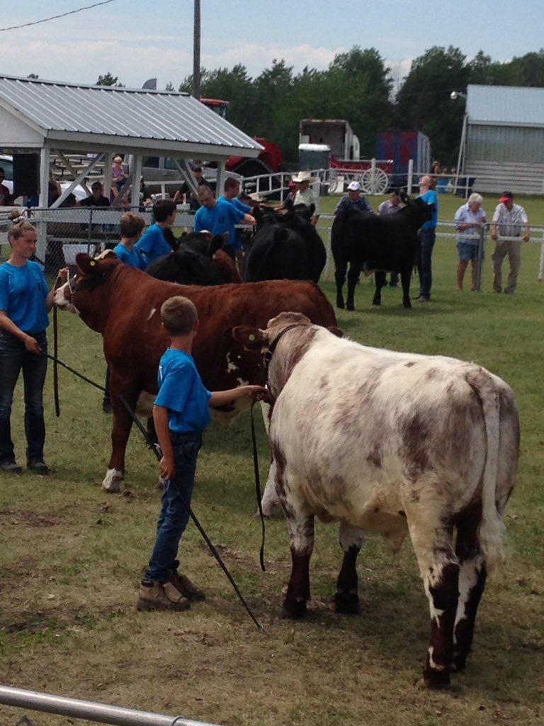 FGP Cattle tweet media