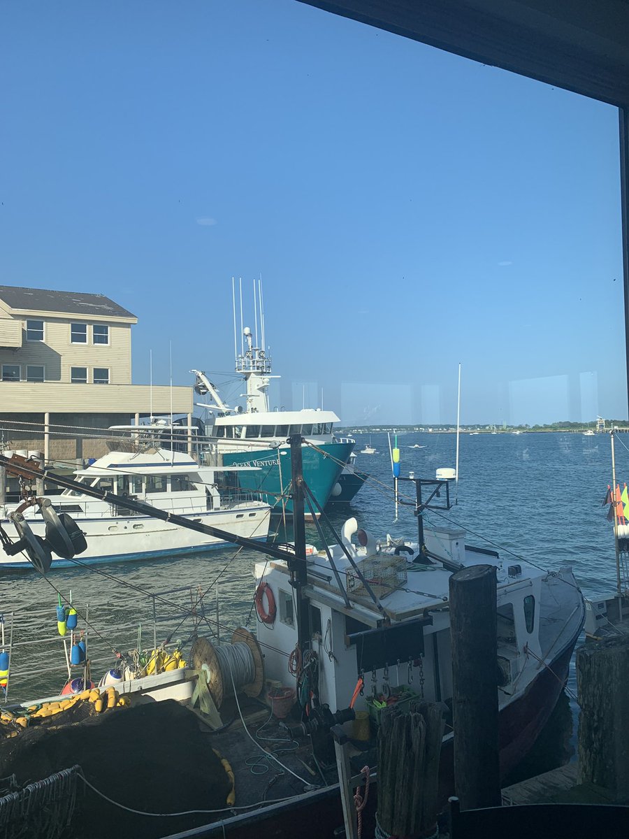 Joann Bisson tweet media