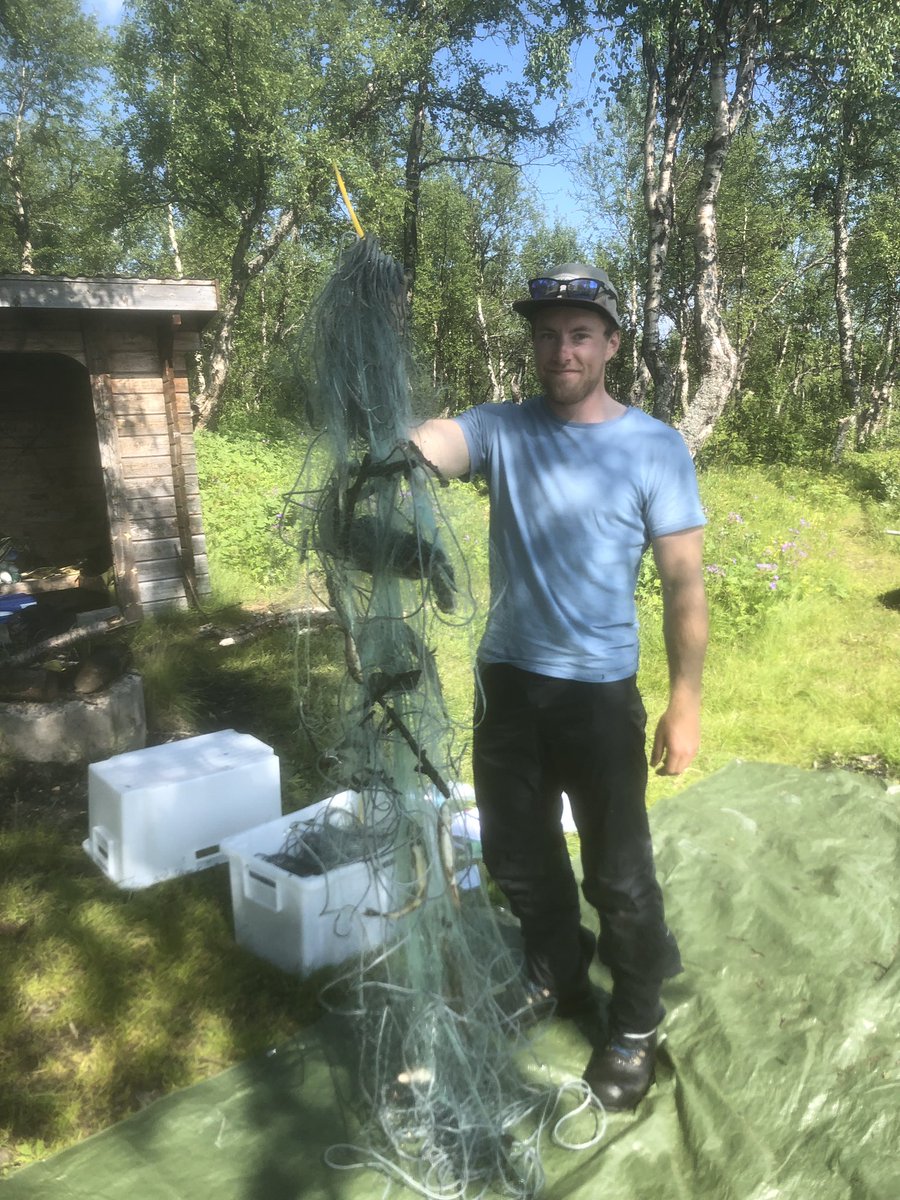 karin_a_nilsson's tweet photo. Sticks and trout. A great start to Linus’s project on Arctic charr and Brown trout in Hemavan-Tärnaby https://t.co/1ZxjffwhpC